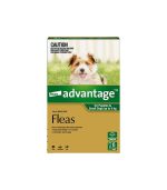 Frisco Guacamole Hide & Seek Puzzle Plush Squeaky Dog Toy — изображение 3