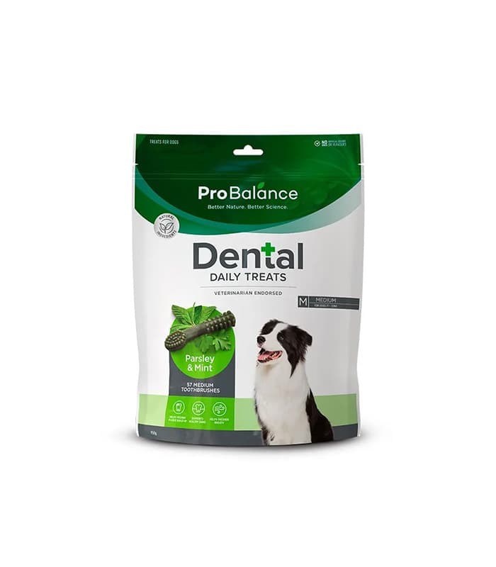 pet-product-dogs-treats-9-0.jpg Probalance Toothbrush Parsley & Mint — изображение 1